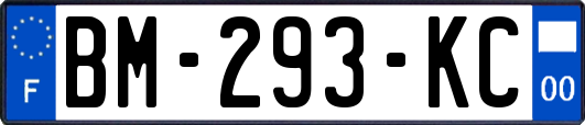 BM-293-KC