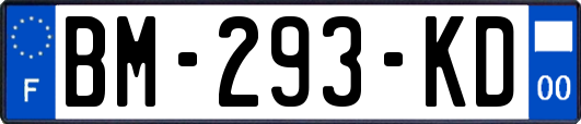 BM-293-KD