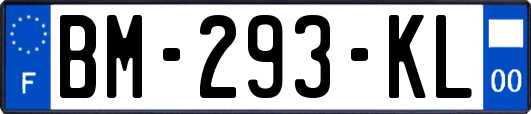 BM-293-KL