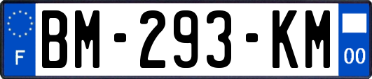 BM-293-KM