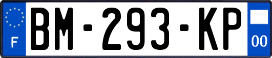 BM-293-KP