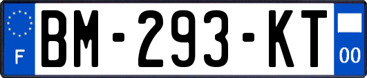 BM-293-KT
