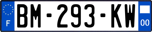 BM-293-KW