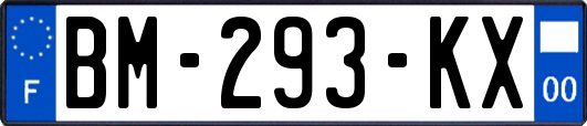 BM-293-KX