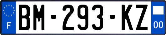 BM-293-KZ