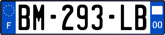 BM-293-LB