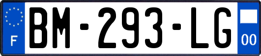 BM-293-LG