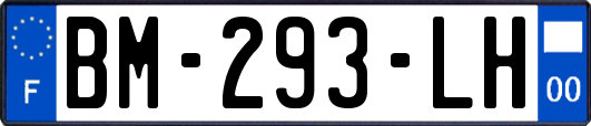 BM-293-LH