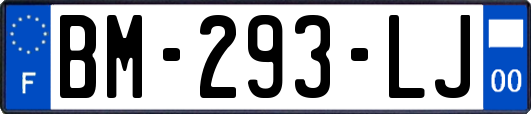 BM-293-LJ