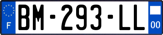 BM-293-LL
