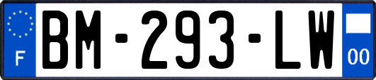 BM-293-LW