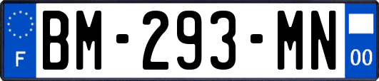 BM-293-MN