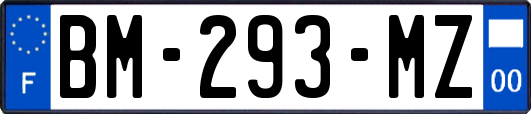 BM-293-MZ