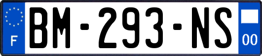 BM-293-NS