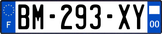 BM-293-XY
