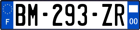 BM-293-ZR