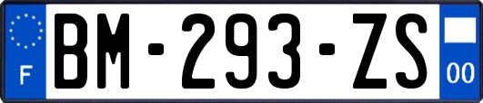 BM-293-ZS