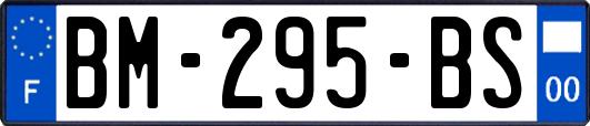 BM-295-BS