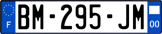 BM-295-JM