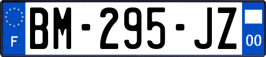 BM-295-JZ