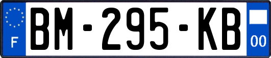 BM-295-KB