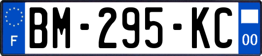 BM-295-KC