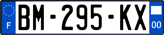 BM-295-KX