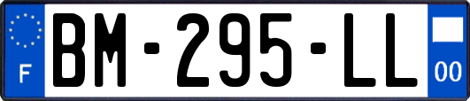 BM-295-LL
