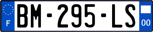 BM-295-LS