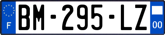 BM-295-LZ