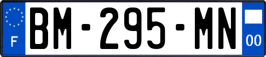 BM-295-MN