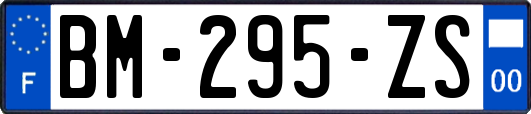 BM-295-ZS