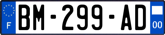 BM-299-AD