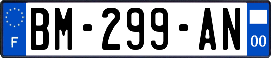 BM-299-AN