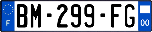 BM-299-FG