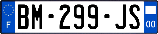 BM-299-JS