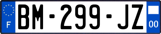 BM-299-JZ