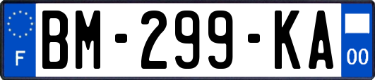 BM-299-KA