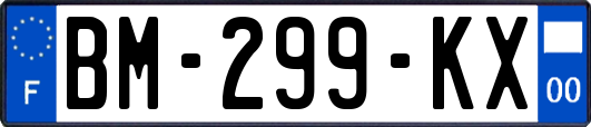BM-299-KX