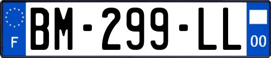 BM-299-LL