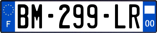BM-299-LR