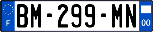 BM-299-MN