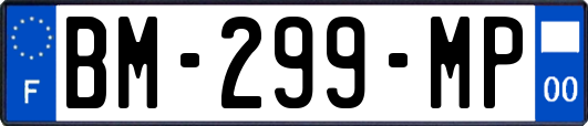 BM-299-MP