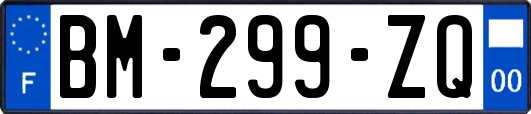 BM-299-ZQ