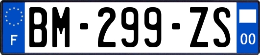 BM-299-ZS