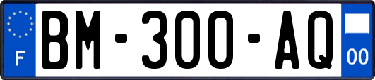 BM-300-AQ