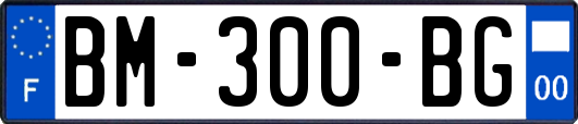 BM-300-BG