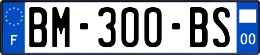 BM-300-BS