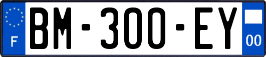 BM-300-EY