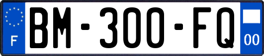 BM-300-FQ